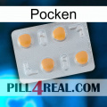 Poxet 24